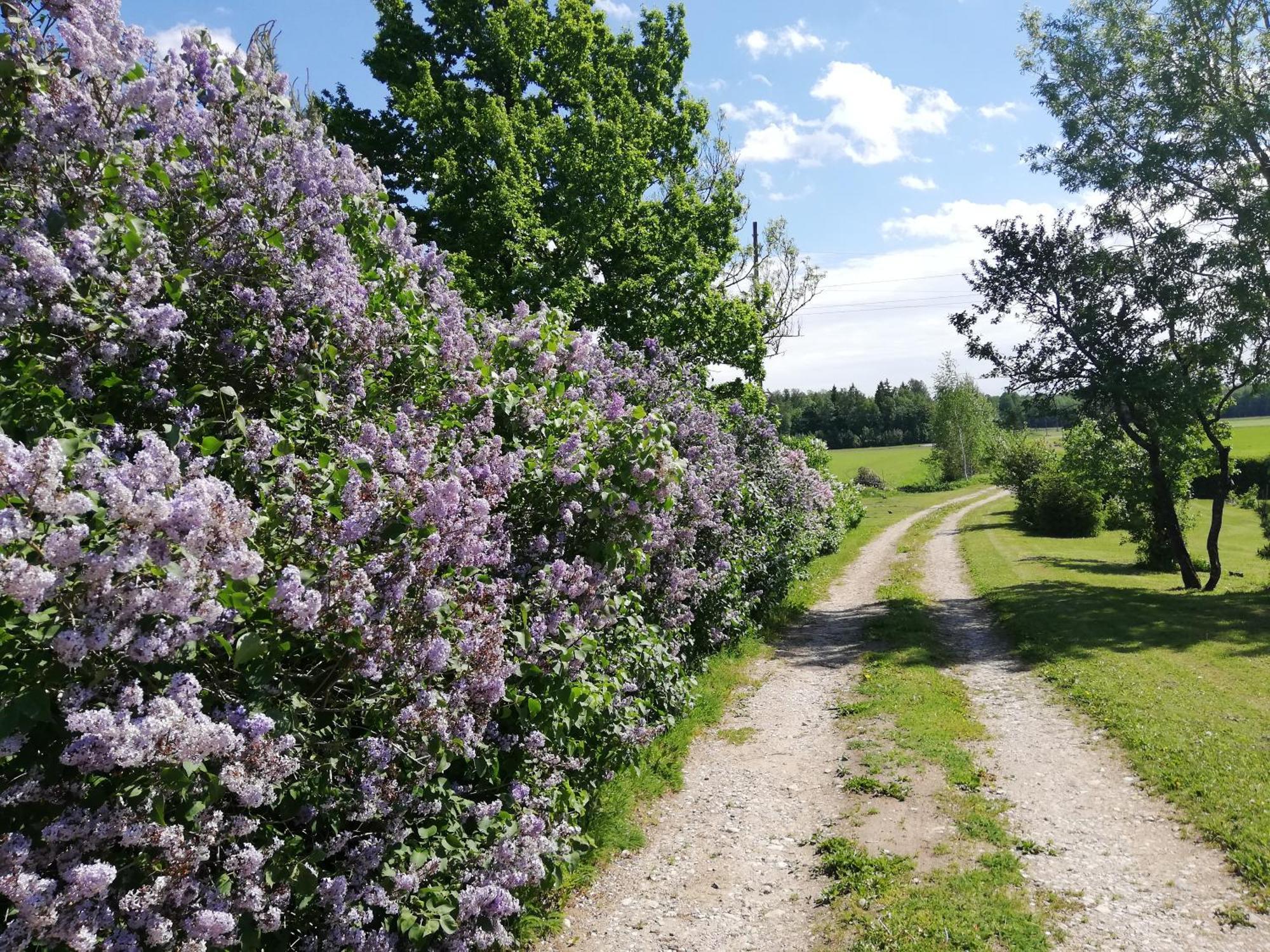 Ferienwohnung Tuka Talu Soomaa Piirkonnas Tori Exterior foto